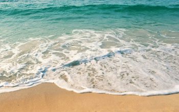 Wallpaper Seashore Under Clear Blue Sky During Daytime