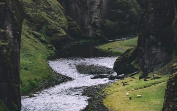 Wallpaper Stream Photo