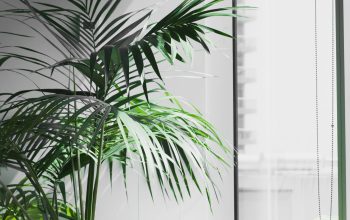 Wallpaper MacBook Pro Near Potted Plant