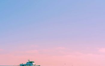 Wallpaper White Yacht Sailing During Day