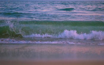 Wallpaper Beach Wave on White Sand