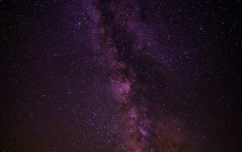 Wallpaper Silhouette of Trees Under Milky Way