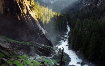 Wallpaper Waterfalls Between Trees