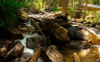 Wallpaper Stream with Large Rocks and Logs in the Woods