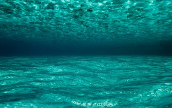Wallpaper Blue Body of Water