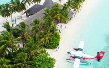 Wallpaper Plane Parked Beside Trees on Seashore