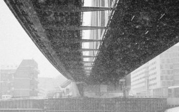 Wallpaper Grayscale Architectural Photography of Metal Bridge Underneath