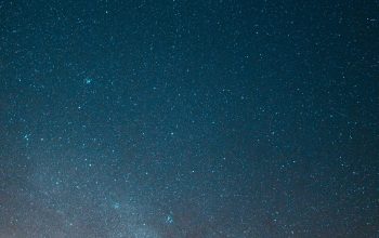 Wallpaper Green Trees Under Blue Sky with Stars