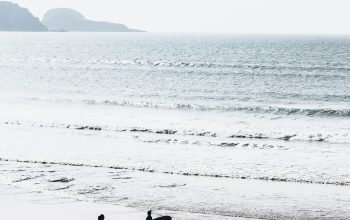 Wallpaper Two People Carrying Surfboards at Beach During Daytime