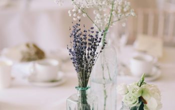 Wallpaper Shallow Focus Photography of Flowers in Clear Glass Vases