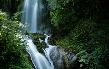 Wallpaper Waterfalls Between Forest