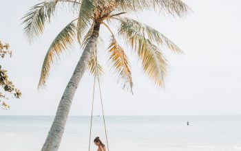 Wallpaper Woman in Bikini on Swing Near Coconut Tree