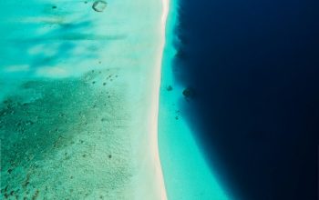 Wallpaper Aerial Shot of Body of Water During Daytime
