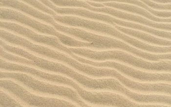 Wallpaper Brown Sands