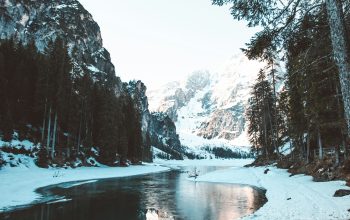 Wallpaper River Between Trees with Snow