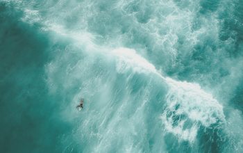 Wallpaper Birds Eye View of Person in Water