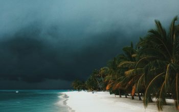 Wallpaper Seashore During Daytime