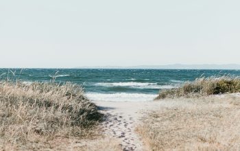 Wallpaper White Sand, Footprints, and Water