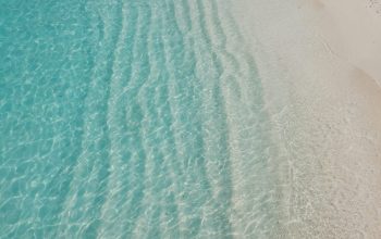 Wallpaper Seashore at Daytime