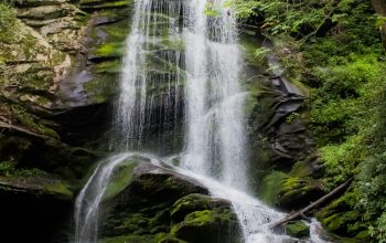 Wallpaper Waterfalls Between Green Trees