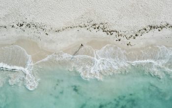 Wallpaper Bird’s Eye View Coastal Person
