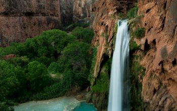 Wallpaper Waterfalls Near Lush Green Trees