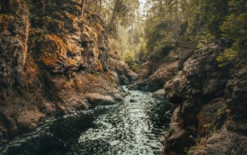 Wallpaper Green River Between Trees and Rock Formations