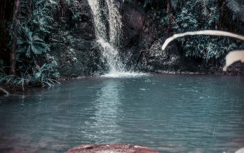 Wallpaper Waterfall Surrounded by Trees