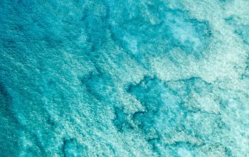 Wallpaper An Aerial View of a Body of Water