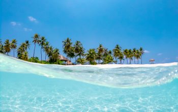Wallpaper Crystal Clear Water Near Coconut Trees Under the Sun