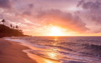 Wallpaper Beach Seashore During Sunset