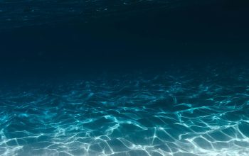 Wallpaper Grey Sand Under Blue Clear Water