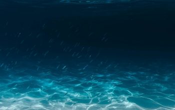 Wallpaper Blue and Clear Water
