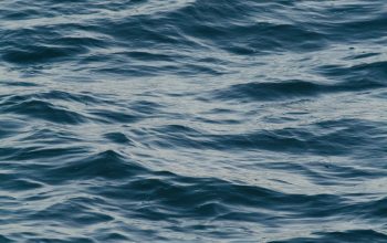Wallpaper Calm Ocean