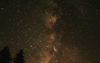 Wallpaper Stars at Night