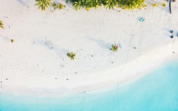 Wallpaper Aerial View of Beach