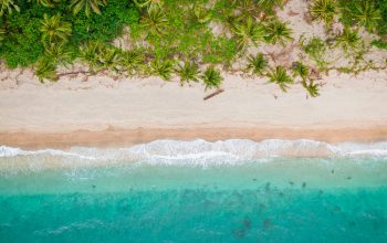 Wallpaper Aerial View of Beach During Daytime