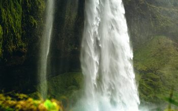 Wallpaper Waterfalls on Green Moss Covered Rock