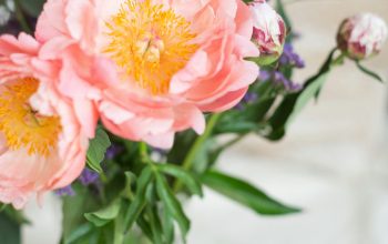 Wallpaper A Vase Filled with Pink Flowers on a Table