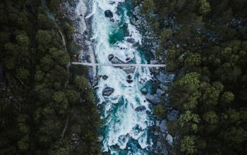 Wallpaper Green Trees and Waterfalls