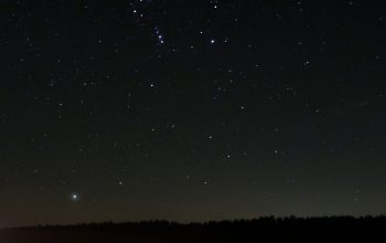 Wallpaper Brown Wooden Fence Under Starry Night