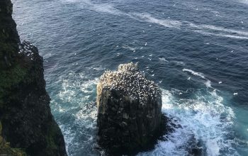 Wallpaper Brown Rock Formation on Sea During Daytime
