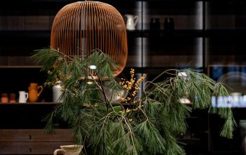 Wallpaper Green Pine Tree with Brown and White Ceramic Vase