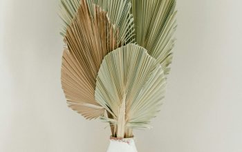 Wallpaper Green and Brown Plant in White Ceramic Vase