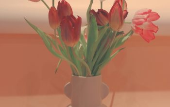 Wallpaper Pink Tulips in Clear Glass Vase