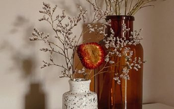Wallpaper Red Flowers in White Ceramic Vase