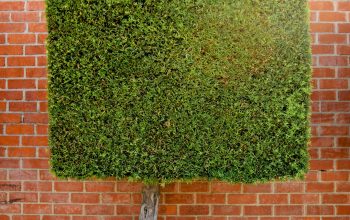 Wallpaper Green and Brown Brick Wall
