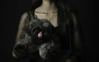 Wallpaper Woman in Brown Sleeveless Top Holding Black and White Long-Coated Small Dog