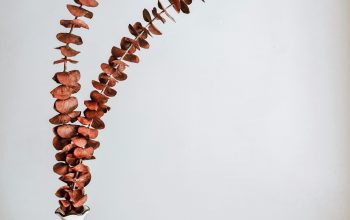 Wallpaper Brown and White Beaded Necklace