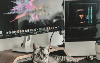 Wallpaper Silver Tabby Cat Beside Silver iMac